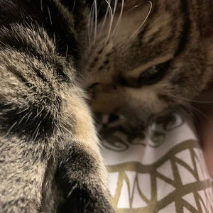 Meet your Posher, Charlie!